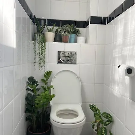 Apartman A Jungle In Oud-west *