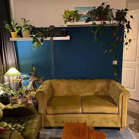 A Jungle In Oud-west Apartman