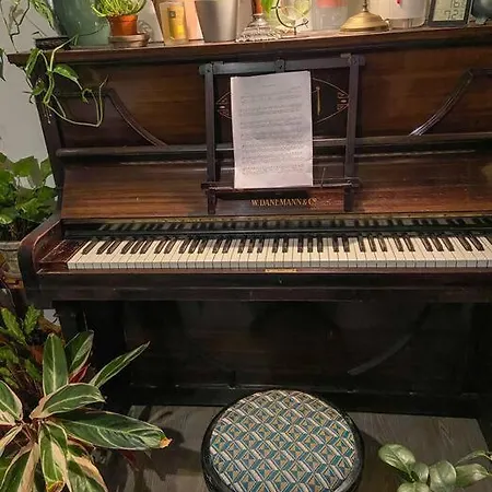 A Jungle In Oud-west Ámsterdam