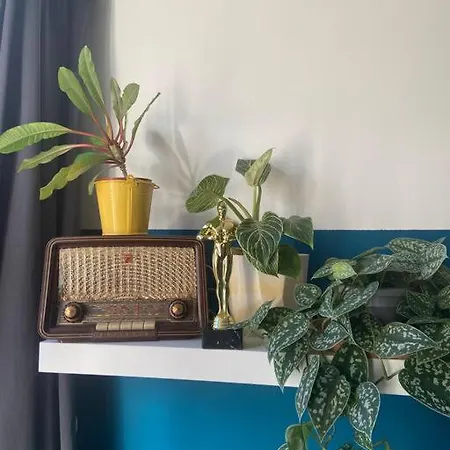 Apartment A Jungle In Oud-west Amsterdam